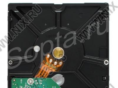 500 ��� ������ ����.