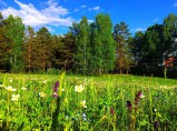 Продам земельный участок 13 соток / Красноярск